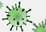 Coronavirus - Ordinanza della Presidente Santelli su misure di contenimento del contagio