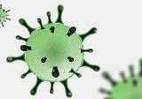Coronavirus - DPCM del 24 ottobre 